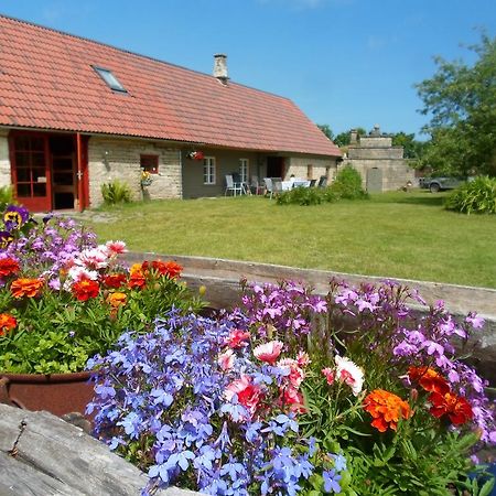 Ansumardi Farmstay Kavandi Экстерьер фото