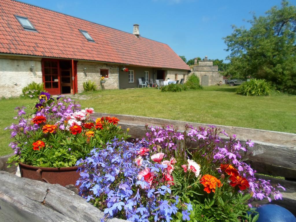 Ansumardi Farmstay Kavandi Экстерьер фото